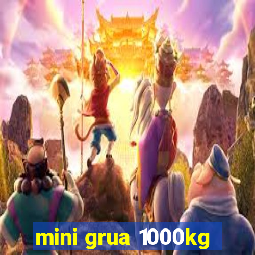 mini grua 1000kg